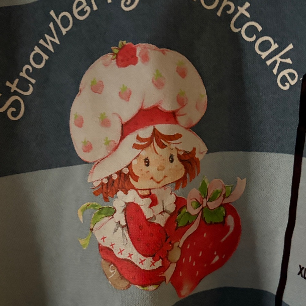 Striped Blue Cropped Sweatshirt with Strawberry Shortcake Design - Picture 7 of 7